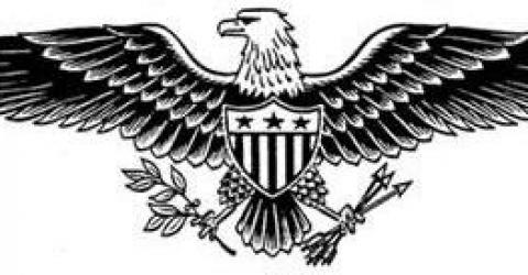 american eagle shield